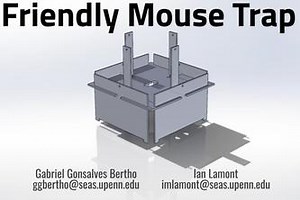 Friendly Mouse Trap
