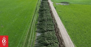 Weather live: Power outages, flights cancelled as gales hit Wellington, Wairarapa, and South Island