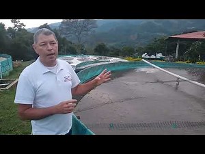 ¿Cómo comenzar mi cultivo en Biofloc BFT?