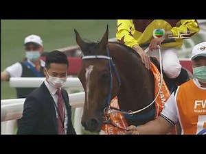 2020 The FWD Champions Mile G1 - Southern Legend (川河尊駒) - CY.Ho (何澤堯首個國際一級賽冠軍)