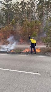 Live Traffic NSW on Reels