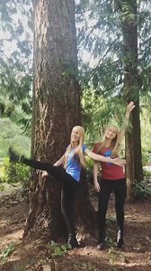 We’re here, Washington! Excited for our show tomorrow in Seattle! #PNW #HarpTwins | Harp Twins