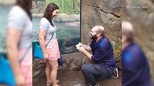 15K views · 227 reactions | Fiona, a popular baby hippo at the...