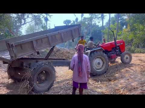 Swaraj Tractor Loading & Unloading #tractortrolleyvideos #tractorvideo