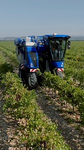 #Braud 8.50L, a high-performance compact machine designed to maximize efficiency in #vineyards #grapeharvest | New Holland Agriculture