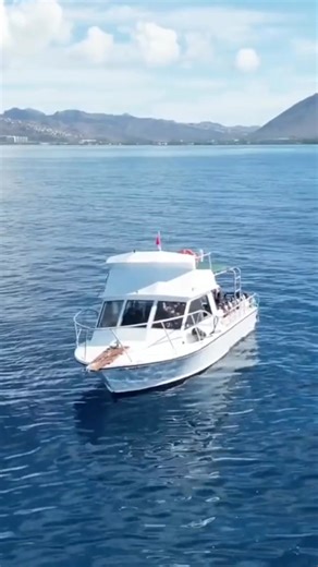 Never been scuba diving before? No problem! Start your underwater adventure today with Aaron’s Dive Shop - Oahu’s longest-running dive shop! | Aaron's Dive Shop