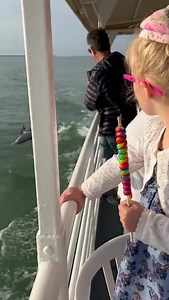 2.2K views · 61 reactions | Dolphins, manatees, boat rides, and magical sunsets are all a part of what makes Captiva Island so special.  Let us know in the comments your favorite thing about Captiva Island! IG: karafranker | South Seas | Facebook