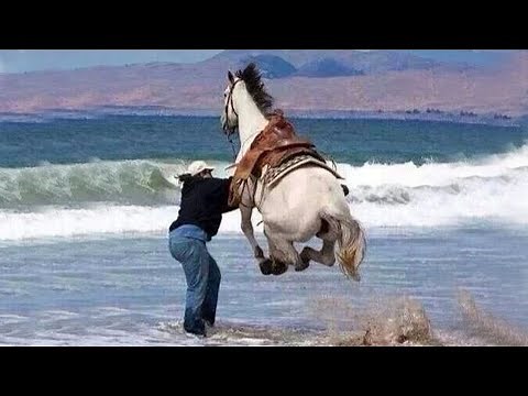 These Funny and Cute Horses Will Change Your Mood For Good