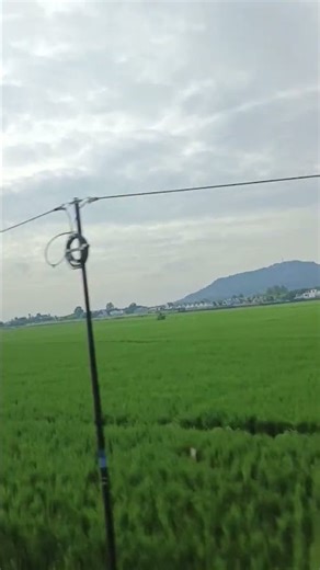 "I love looking at the train window view while traveling across Java." #asmr #asmrrain #kai #nature