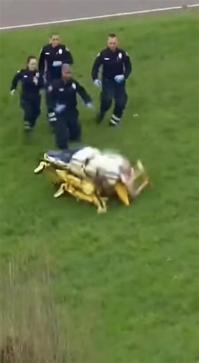 Job Loss Scenarios: Humorous Takes on Workplace Humor