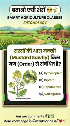 Mustard Sawfly Order? 🤔 Hymenoptera vs Diptera Confustion! #smartagricultureclasses