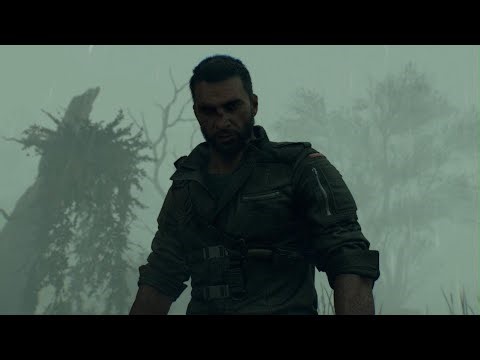 Level 300 Crane VS Chimera