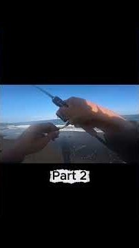 Part 2 ‼️ strike ikan talang-talang