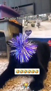 3K views · 53 reactions | Endeavour Wellness on Reels | Facebook