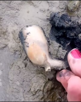 River Thames Mudlarking Adventure – What Did We Uncover?