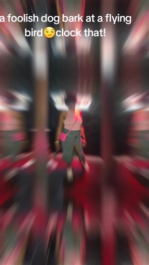 @Empress_Trendy Contagious🇯🇲 (@empress_trendycontagious)’s videos with original sound - Lyrics hub