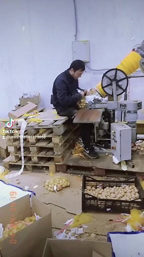 Efficient Potato Peeling Machine in Action