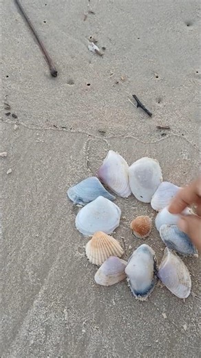 Fixing a crab Shell Underwater 🌊#shots