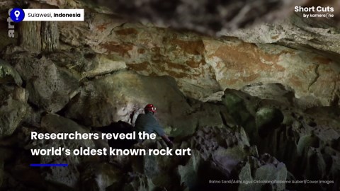 World's oldest cave art dating back to 67,800 years discovered in Indonesia