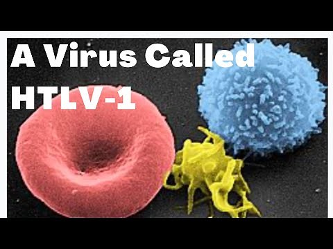 HUMAN T-LYMPHOTROPIC VIRUS | HTLV1 | ADULT T-CELL LEUKEMIA / LYMPHOMA | Adwoa Biotech