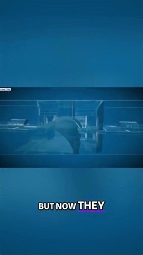 The Giant Collider That Became a Huge Mistake!