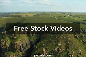 Free Horse Riding A Human Videos