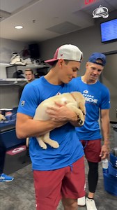 Today’s lab report 🐶 | Colorado Avalanche