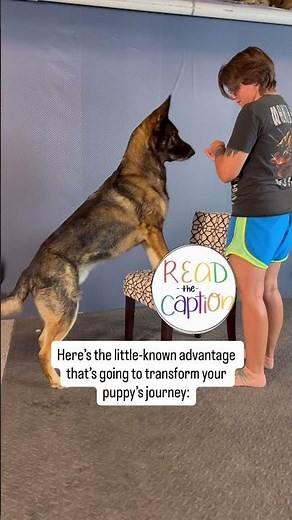 You need to teach your puppy how to be calm.