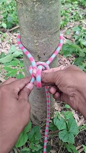 Tie the cover strap securely #Rope #Knot #Knotshort