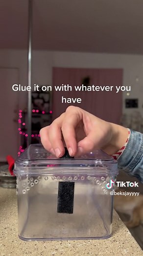 DIY Terrestrial Tarantula Enclosure | Save Money with this Tutorial!