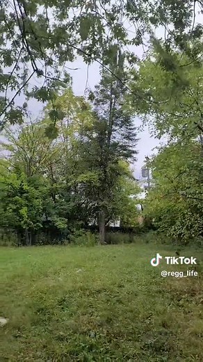 Detroit Michigan Abandoned Hoods #detroit #abandoned #hoods