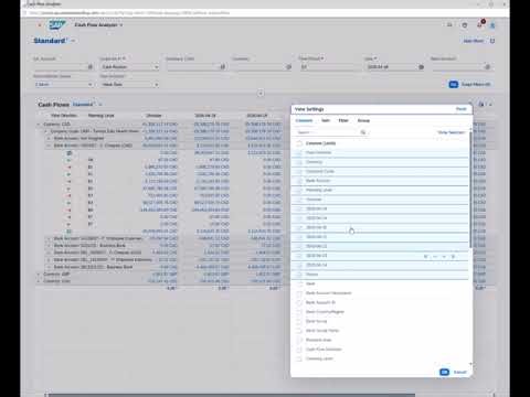 SAP S/4 HANA Tutorial / Fiori app / Cash Flow Analyzer