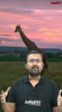 Ye Sach Aapko Hairaan Kar Dega! Giraffes 40% Kam Ho Chuke Hain 🦒 #ugcnetadda247 #giraffes #ugcnetevs
