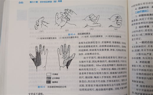 分享有趣的Allen实验