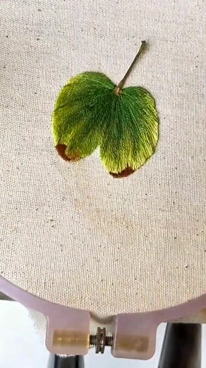 #diy #fyp #embroidery