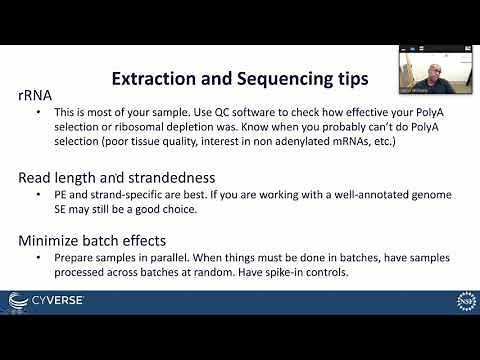 Transcriptome analysis: introduction to RNA-Seq using Kallisto and Sleuth workflows