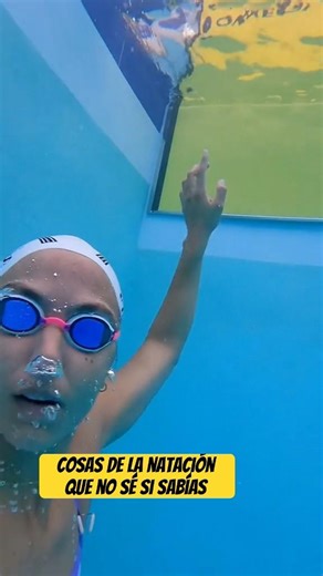 Cosas de la natación que no sé si sabías #swimming #sports #touchpad #viralshorts #swimmingpool