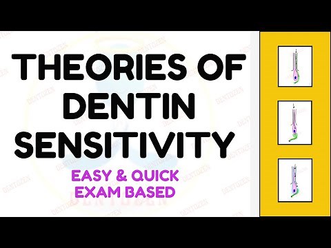 Theories of Dentin Hypersensitivity | Hydrodynamic Theory