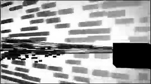 Biplane takes to the sky after 10-year restoration project