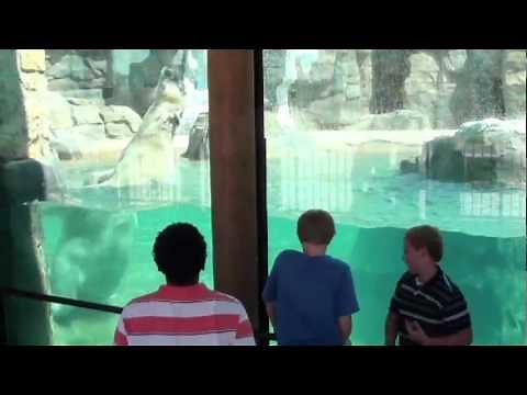 Puberty education video for boys