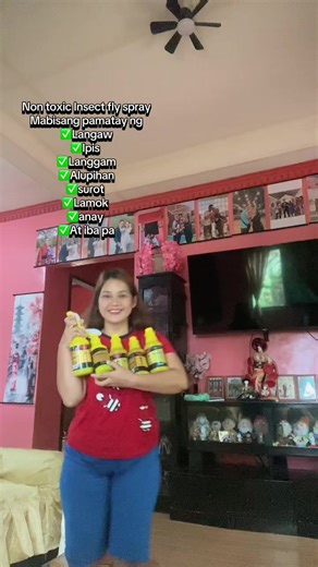 Effective Non-Toxic Insect Fly Spray Solutions