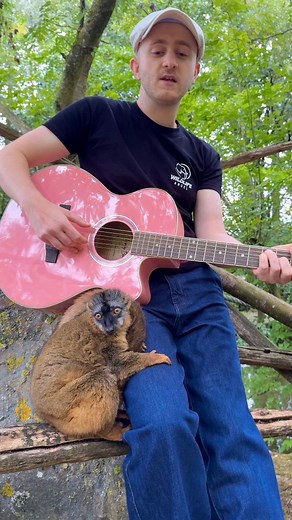 She let me pet her at the end 😭❤️‍🩹 Beautiful song by Will Anderson 🎛️ Mix by Robthedrums Merci Refuge de l'Arche pour l’accueil 🫶 #animals #animaux #lemur | Plumes