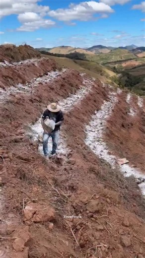 True Facts on Instagram: "Why Farmers Spread Lime on Fields Before Sowing"