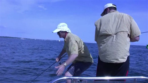 Sea bass fishing in Rhode Island - Fishing for sea bass with the Boa Jig'r and Viper Spoons