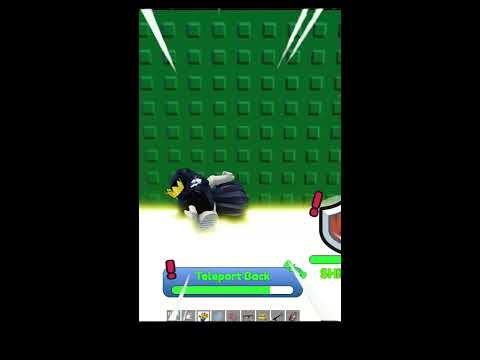 Playing Roblox With Bro Playz✅