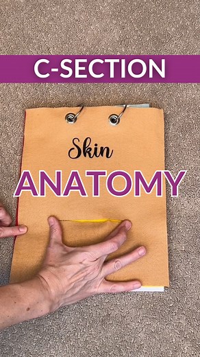 We are cruising through c-section month so it’s time for a video featuring my famous c-section layers model! There are 7 layers we go through during a c-section to get to your baby. Sometimes this is an elective scheduled c-section but a lot of times it can be an emergency c-section. Having a visual might be helpful for some of the c-section moms out there! #csection #csectionmom #csectionrecovery #csectionawarenessmonth #firsttimeparents #birthprep | Mama Nurse Tina