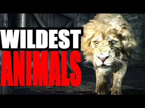 Wildest Animals Encounters Red Dead Redemption 2