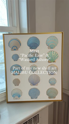 Shell & Brush (@she.sells.seashells12)’s video of shell