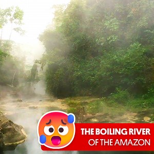 The Amazon’s boiling river kills anything that enters 掠 | Great Big Story | Facebook