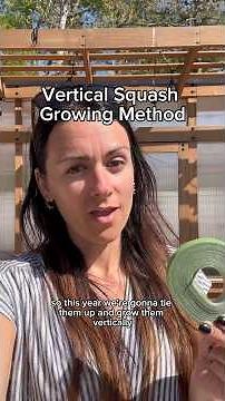 Growing Squash Vertically #gardeningforbeginners